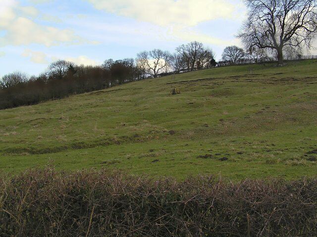 A grassy hill with trees and a fence in the background.
