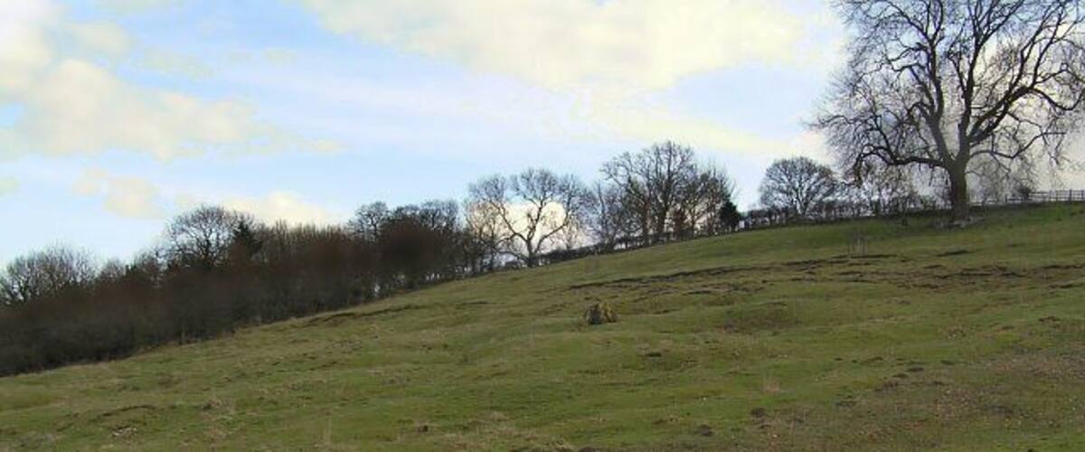A grassy hill with trees and a fence in the background.