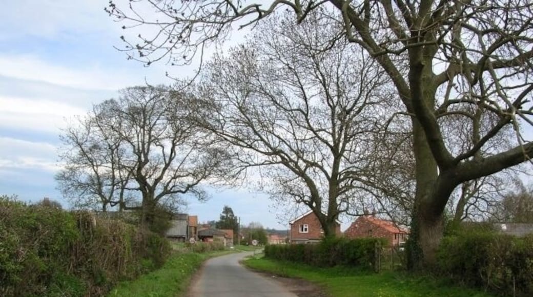 Approaching Barton Le Willows Approaching Barton Le Willows from the Harton road.
