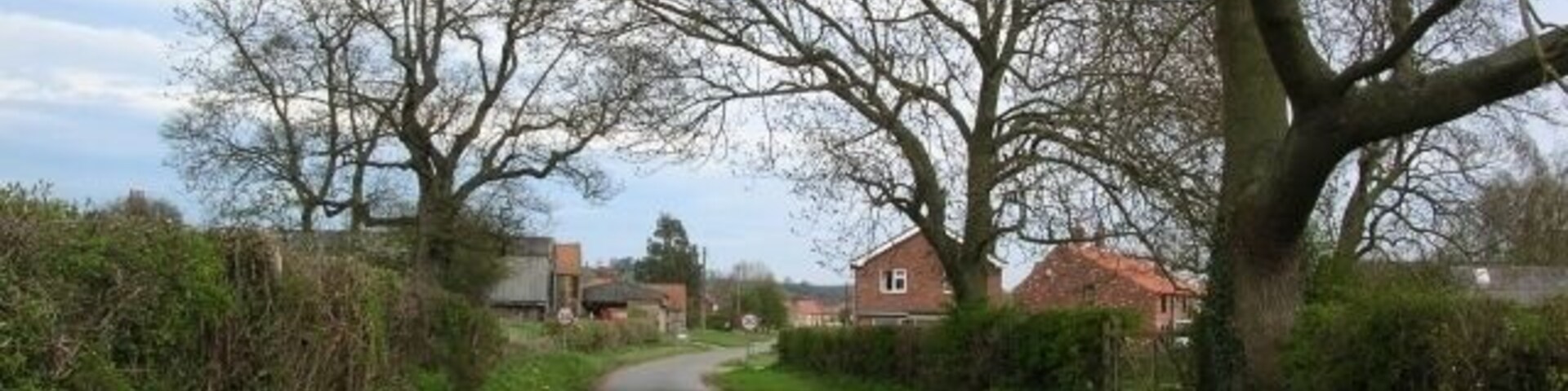 Approaching Barton Le Willows Approaching Barton Le Willows from the Harton road.