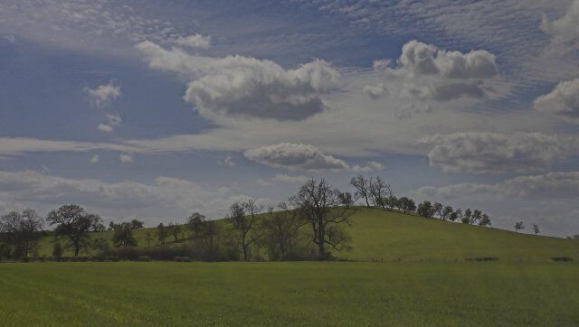 Golden Hill nr Marton. Taken from the road about 500 metres NW of Marton