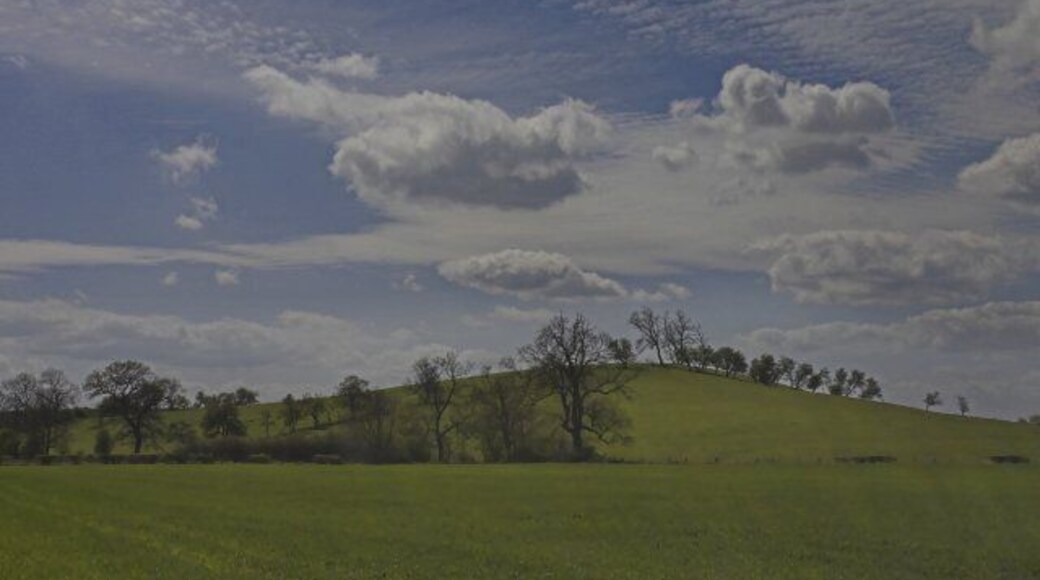 Golden Hill nr Marton. Taken from the road about 500 metres NW of Marton