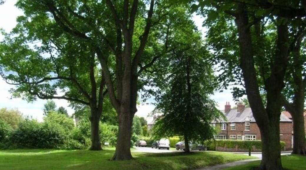 Village green - Skelton In the centre of Skelton with the church out of shot to the right.
