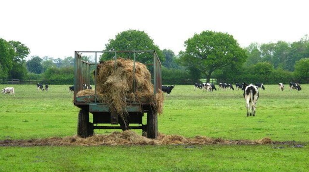 Water Slack Lane Route of a public footpath from Waterslack Lane towards Low farm.