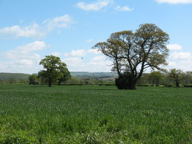 Fields at Barton le Willows Looking eastwards from the edge of the village across cropland towards the distant outline of the Wolds.