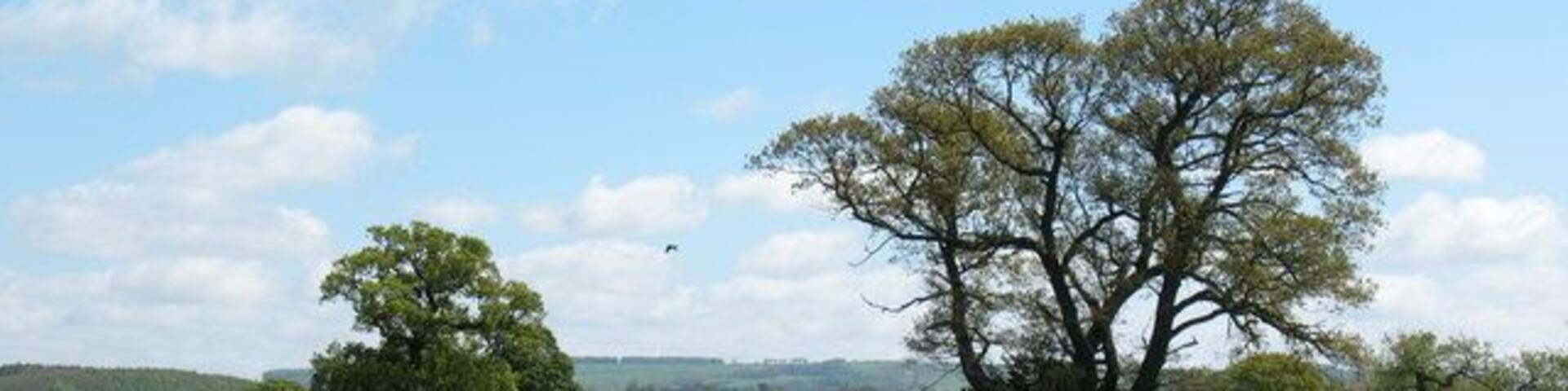 Fields at Barton le Willows Looking eastwards from the edge of the village across cropland towards the distant outline of the Wolds.