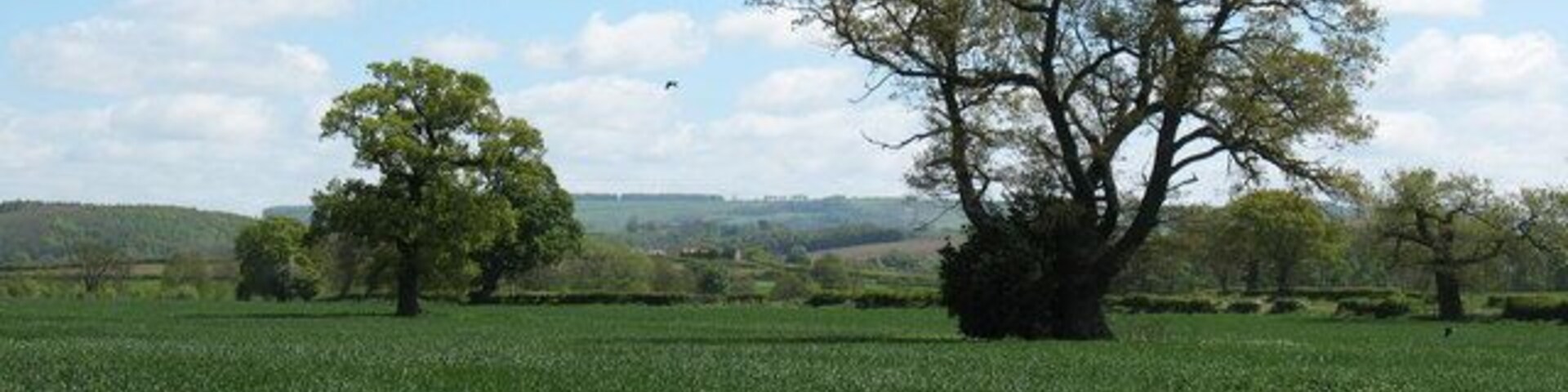 Fields at Barton le Willows Looking eastwards from the edge of the village across cropland towards the distant outline of the Wolds.
