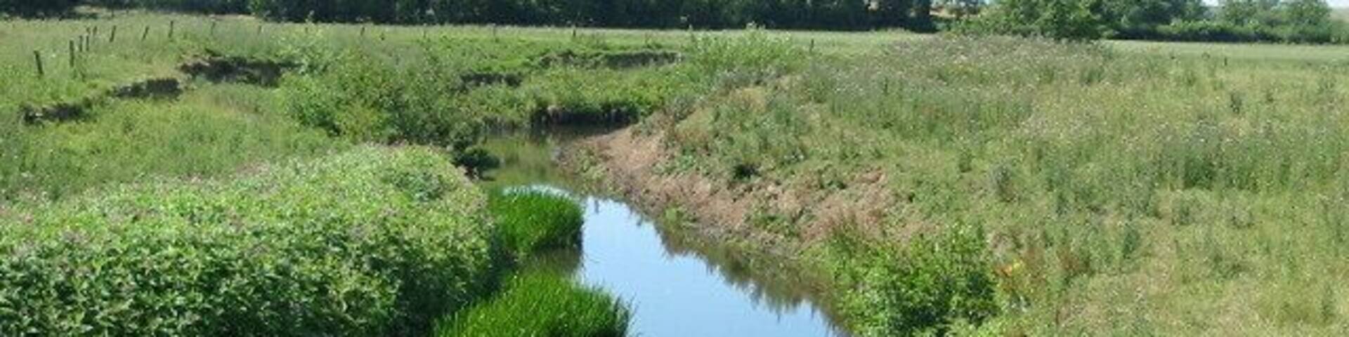 The River Seven one kilometre south of Marton.