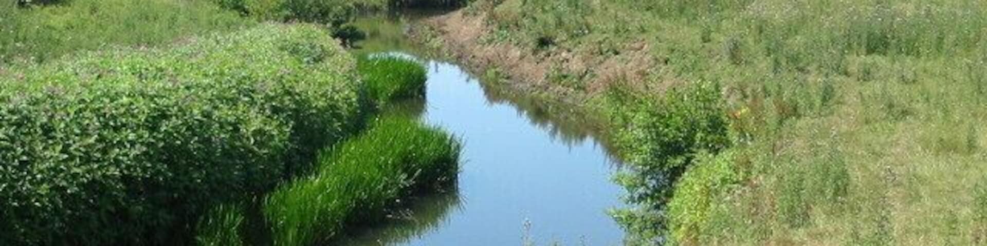 The River Seven one kilometre south of Marton.