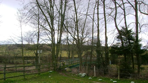 Footbridge over the River Seven Near Low Riseborough Farm
