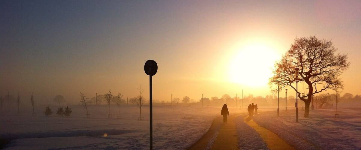 The sun setting over a wintery day on the Heslington East campus at the University of York #goldenhour