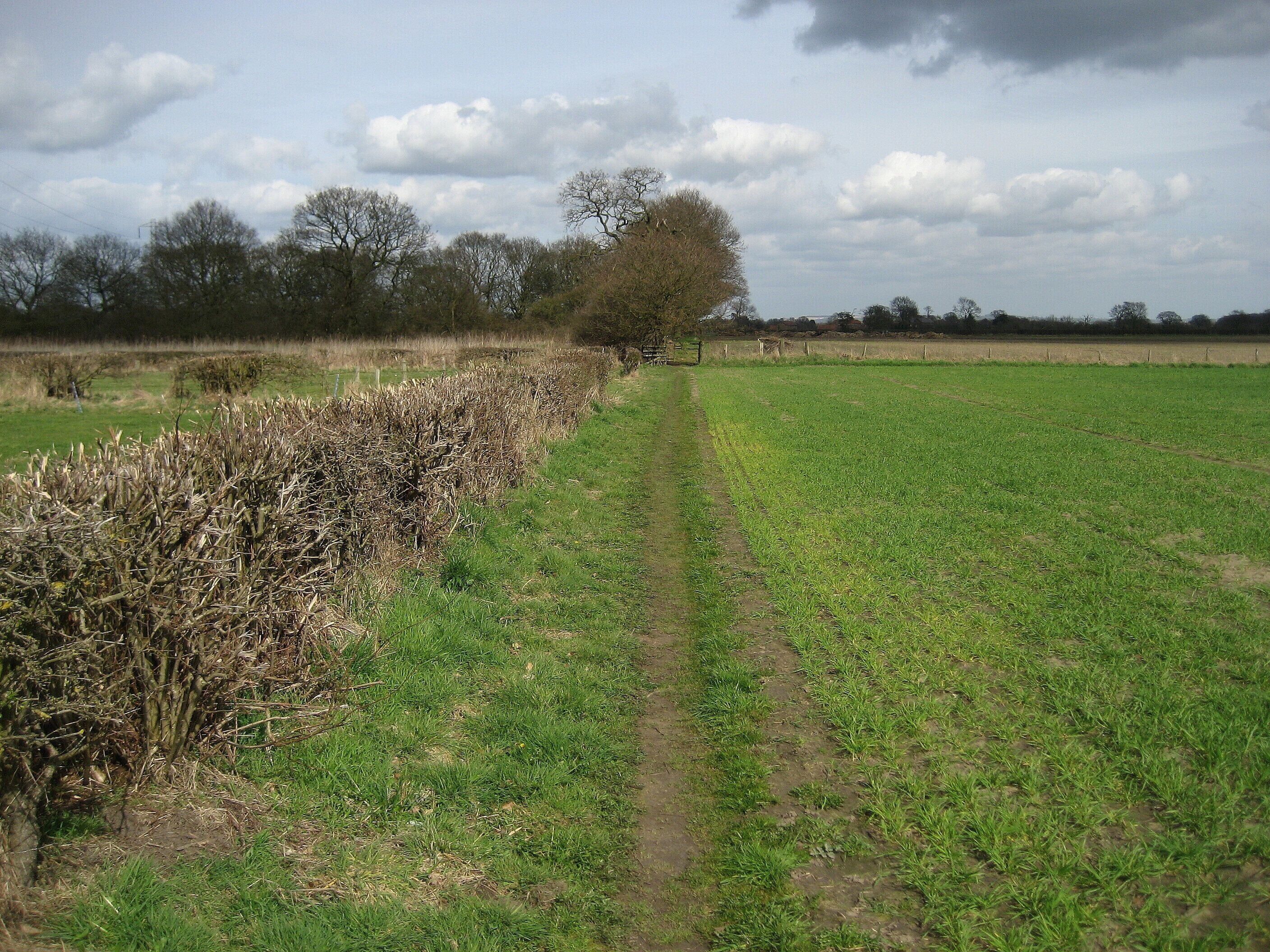 Footpath between Stockton and Carlton Farm Follows hedgerows and field boundaries between Carlton Farm and Stockton in the Forest.