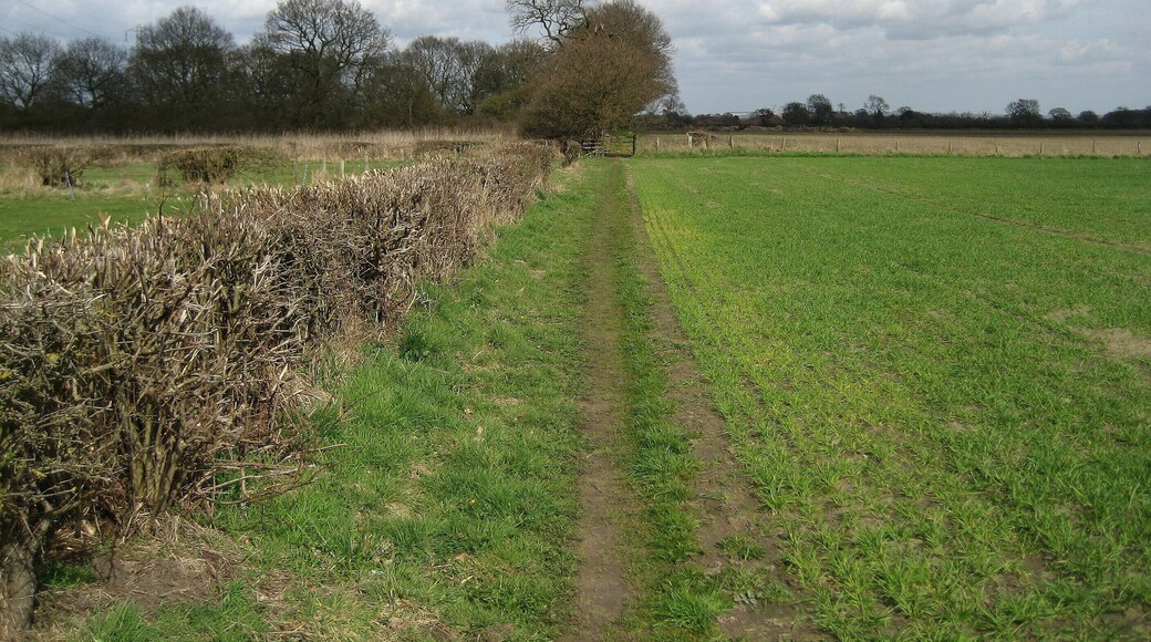 Footpath between Stockton and Carlton Farm Follows hedgerows and field boundaries between Carlton Farm and Stockton in the Forest.
