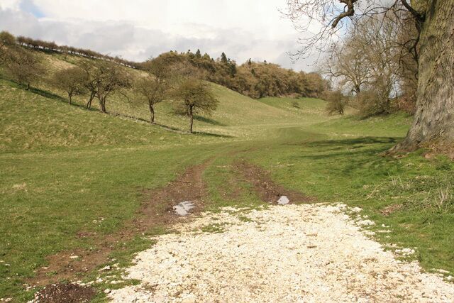 Rabbit Dale, above Huggate, East Riding of Yorkshire, England. The plantation on the skyline is called Rabbit Wood.