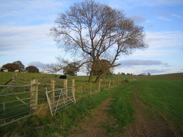 Field corner on Bridleway south of Low Farm