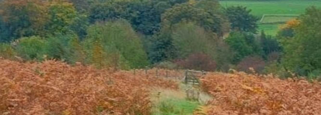 Descending Hawnby Hill The gate to the Open Access area in the immediate distance.