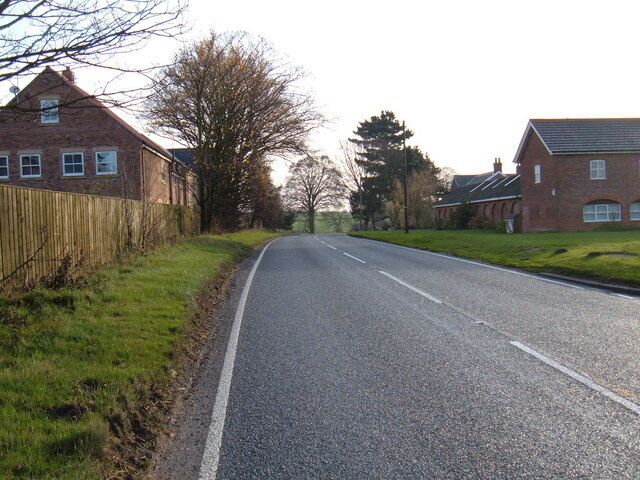 A rural road flanked by houses and trees.