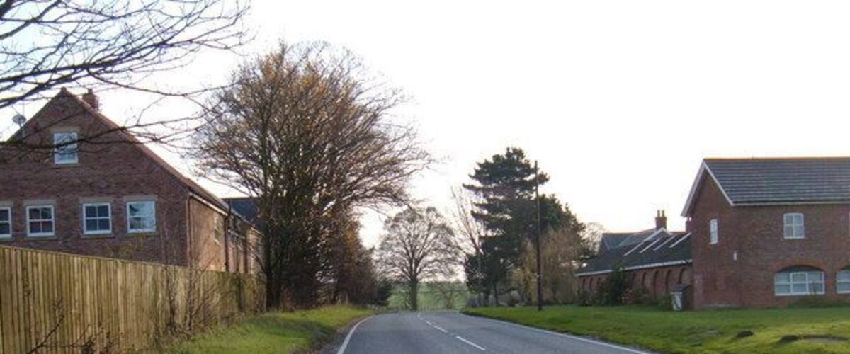 A rural road flanked by houses and trees.