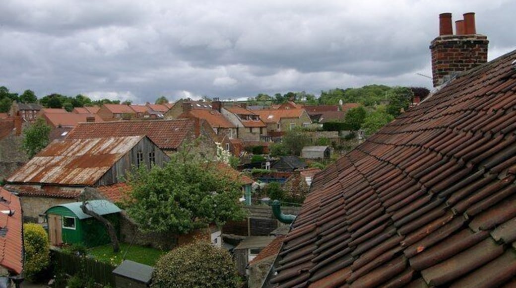 Gardens and roofs behind West End and Tinley Garth Showing the older mix of buildings and the new roofs of Tinley Court to the left. A traditional pan-tile roof is shown on the right.