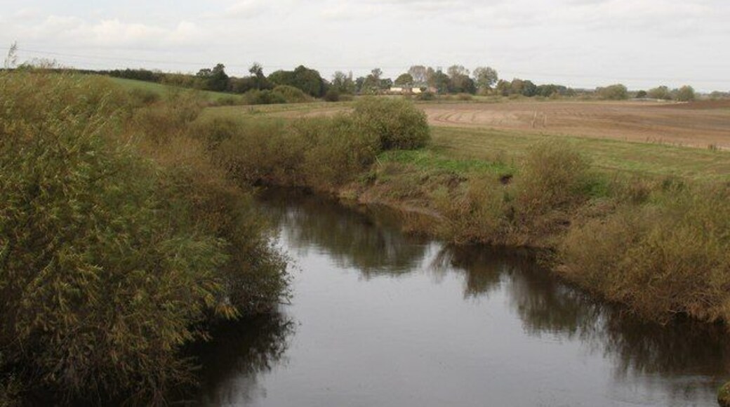The Swale, north of Brafferton A quiet stretch of the river between Brafferton railway bridge and Thornton Bridge.