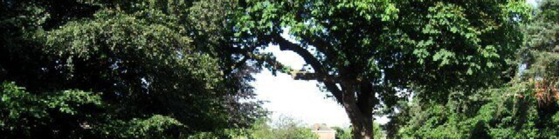 The Old Bridge into Escrick. Built in 1776, the bridge is still in use today