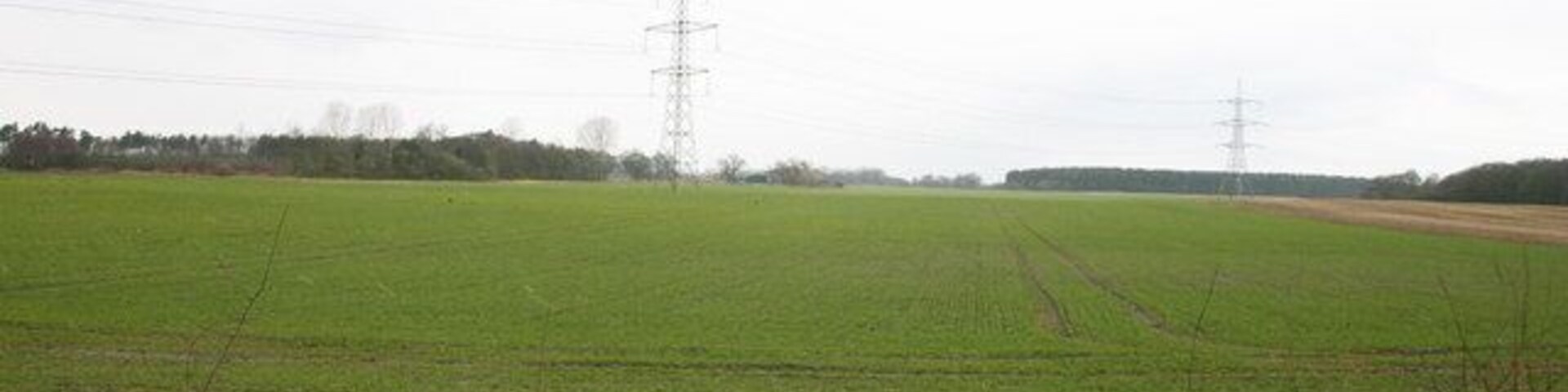 New Hedge and Farmland.