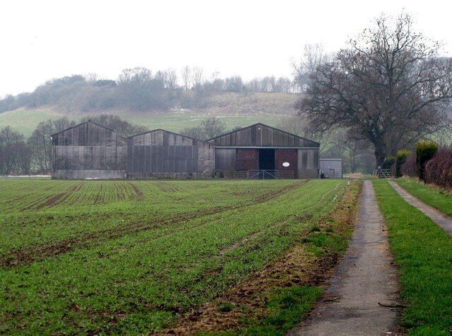 Marton Head Looking towards Fox Holes and Marton Head SSSI beyond the farm buildings.