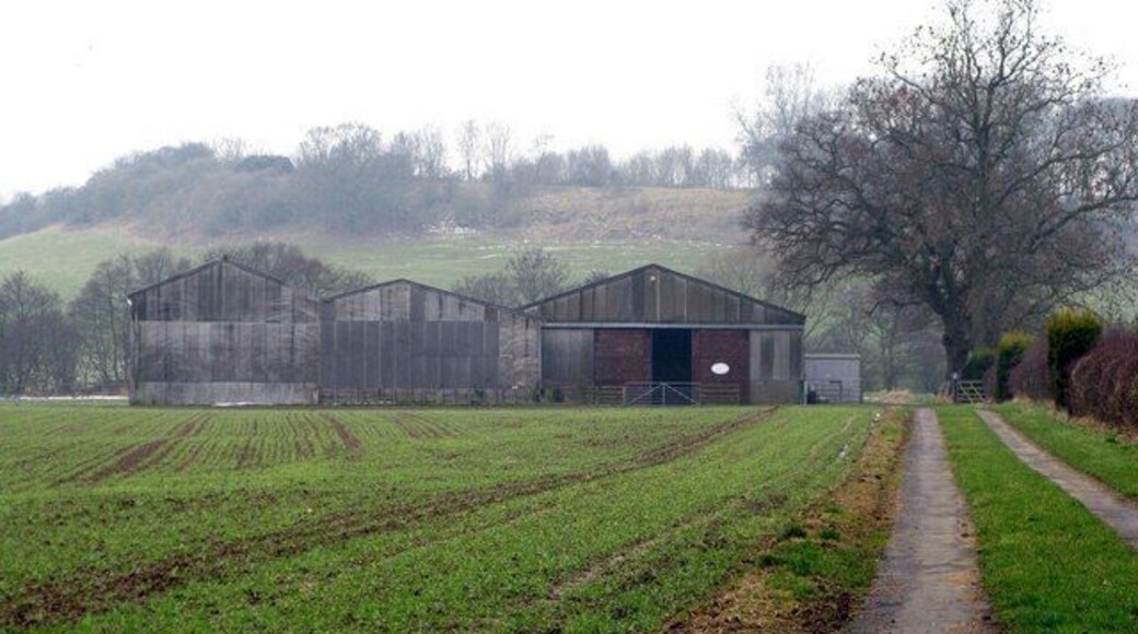 Marton Head Looking towards Fox Holes and Marton Head SSSI beyond the farm buildings.