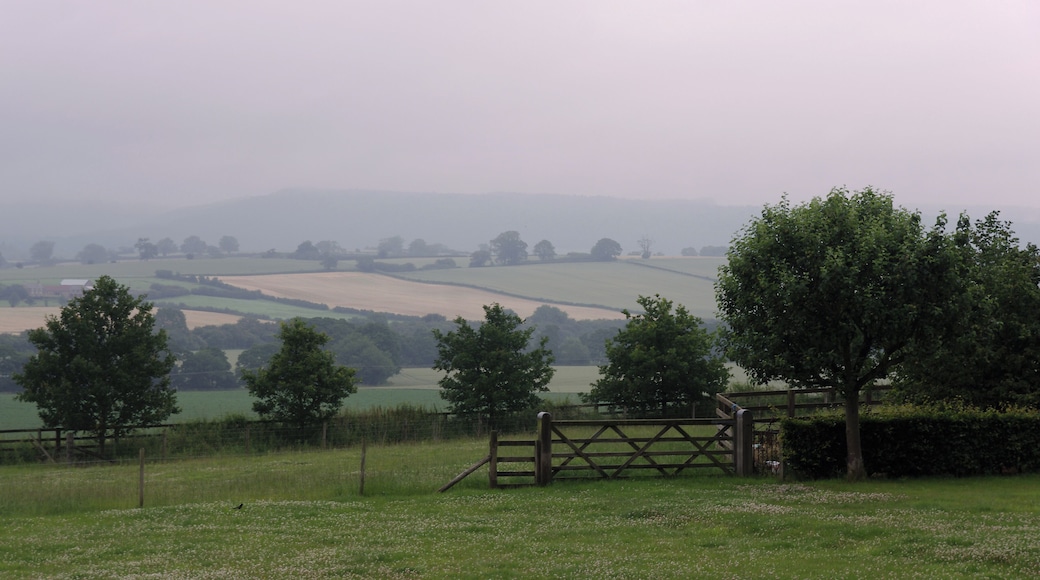 View north from the Husthwaite churchyard.
