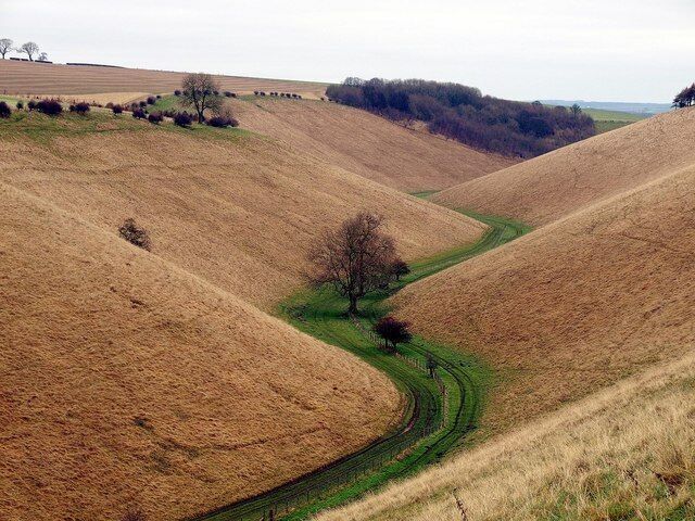 Colline dolci con un sentiero sinuoso e pochi alberi.