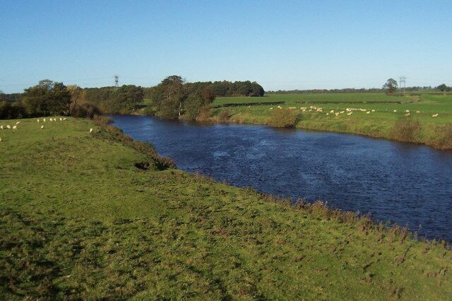 River Ure, Roecliffe Looking upstream from beside a small wood, just to the north west of the village of Roecliffe