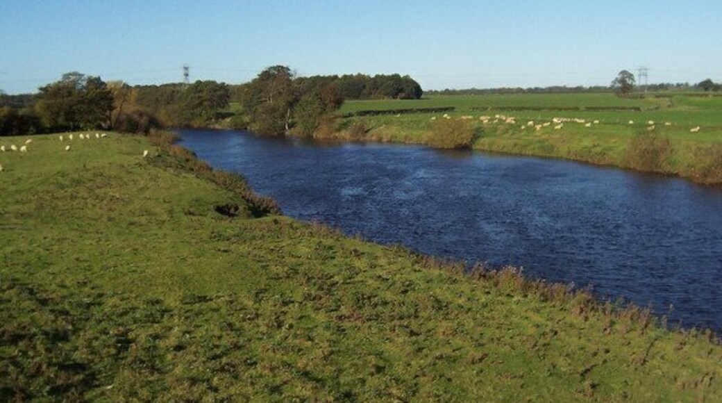 River Ure, Roecliffe Looking upstream from beside a small wood, just to the north west of the village of Roecliffe