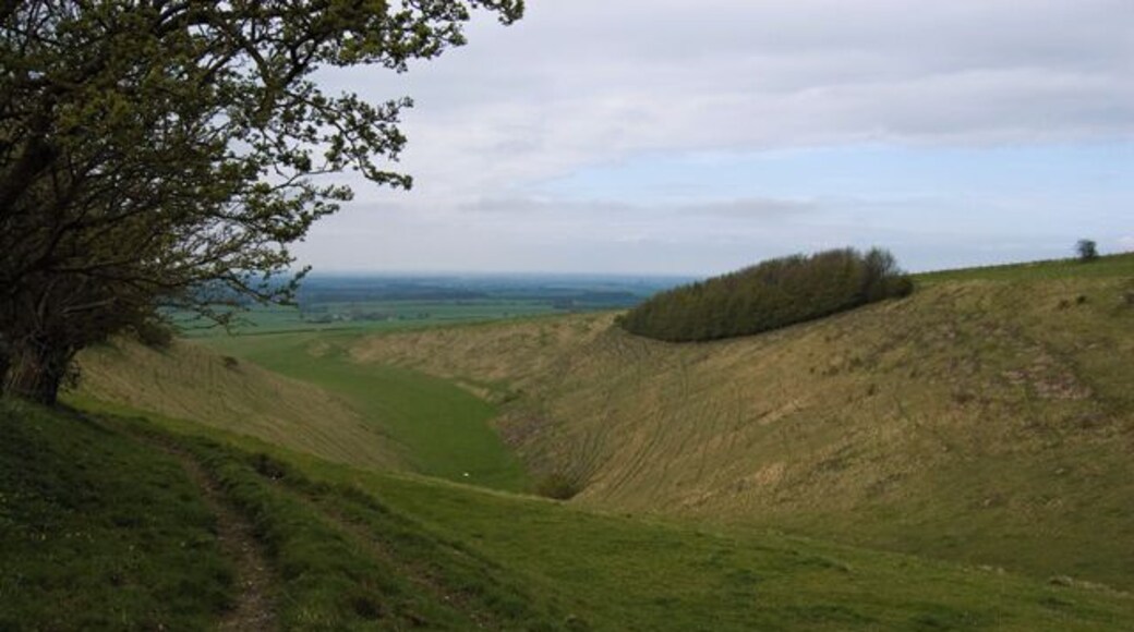 Cleaving Coombe, near Londesborough, East Riding of Yorkshire, England. Wolds dry valley to the east of Londesborough Hill, now designated Open Access land.