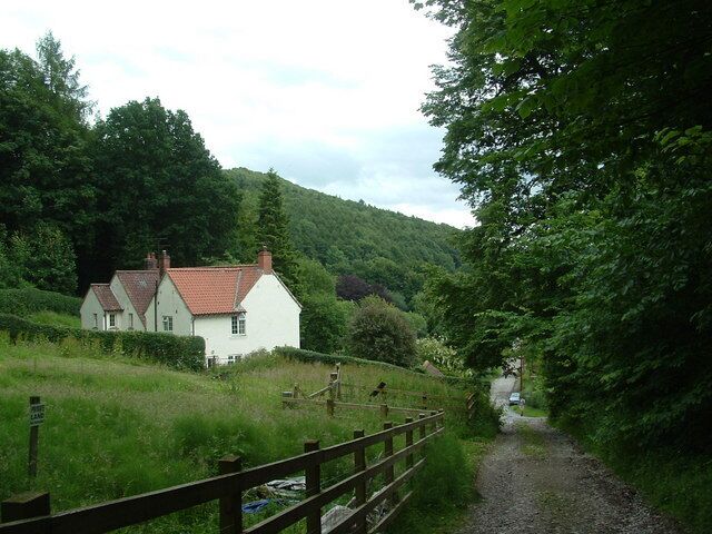 Near Wass Entering the woods near Wass.