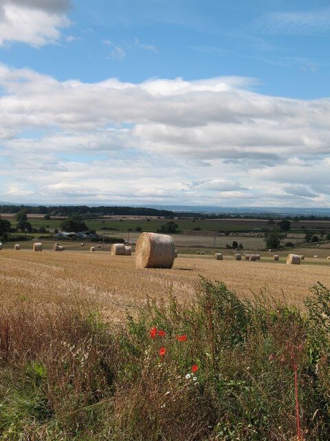 Stubble field at Thormanby. looking across the fields on the west side of the village. Thormanby stands on a low hill, a final outlier of the Howardians further east. There is a fine view westwards over the vale towards the distant Pennines.