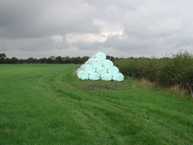 Gift Wrapped? Bales wrapped in protective plastic alongside the A19.