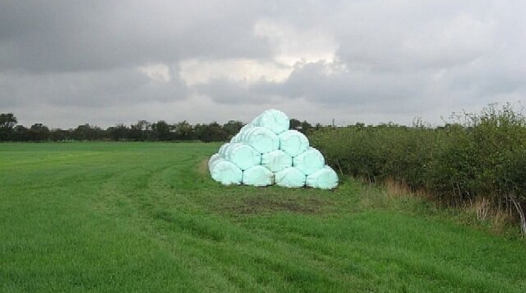 Gift Wrapped? Bales wrapped in protective plastic alongside the A19.