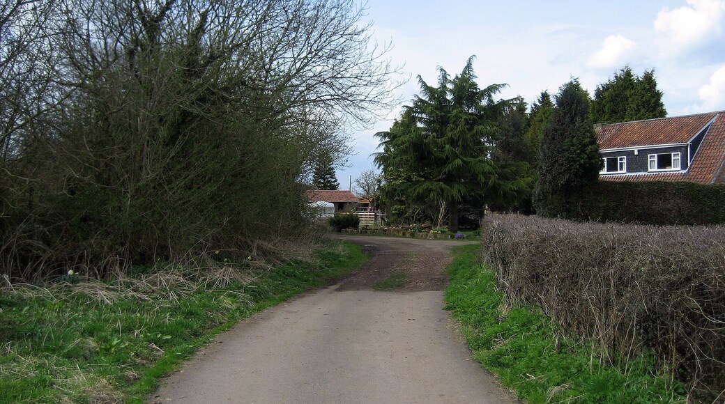 Carrbank Lane Entering Stockton in the Forest from the south.