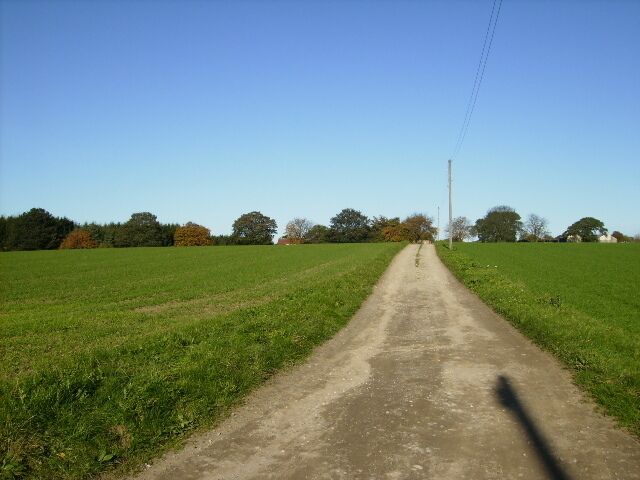 Track to Haverwitz Farm near Easingwold