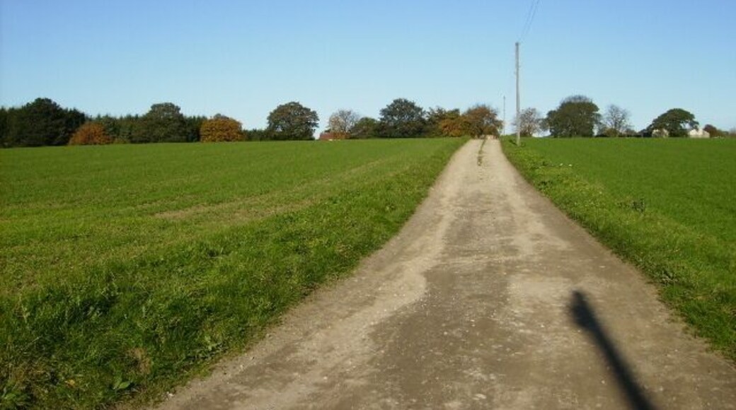 Track to Haverwitz Farm near Easingwold