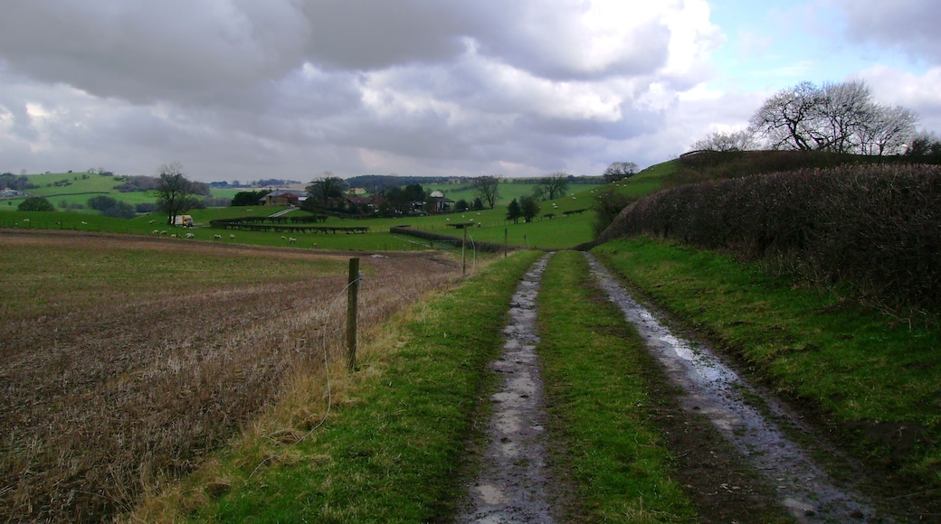 Track from Brandsby This track services the fields, it runs from Brandsby to Beckfield House Farm, well over a mile. Holly Hill Farm can be seen just left of centre.