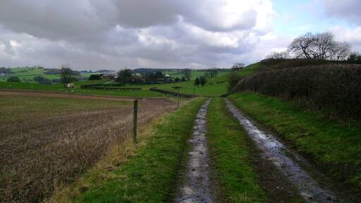 Track from Brandsby This track services the fields, it runs from Brandsby to Beckfield House Farm, well over a mile. Holly Hill Farm can be seen just left of centre.