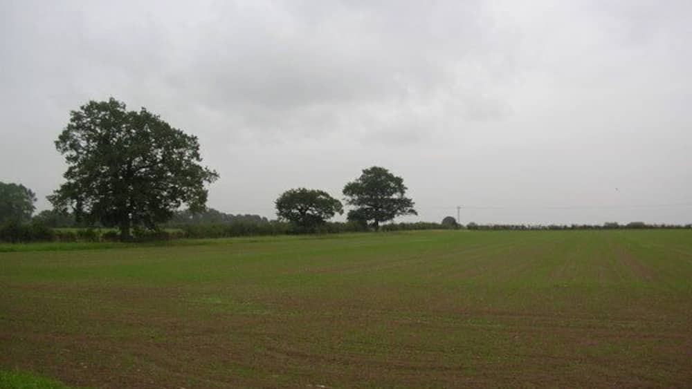A vast open field with a few scattered trees under a cloudy sky.