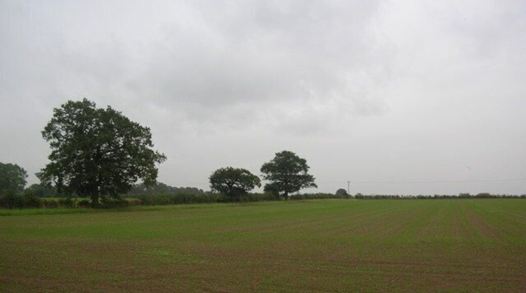 Farmland off York Road. Taken on a wet Friday afternoon as I cycled home in the rain.