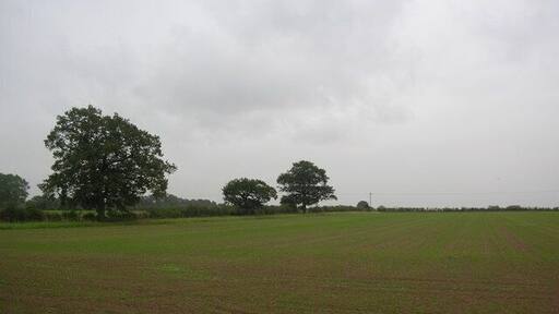 Farmland off York Road. Taken on a wet Friday afternoon as I cycled home in the rain.