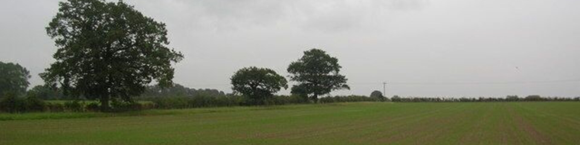 Farmland off York Road. Taken on a wet Friday afternoon as I cycled home in the rain.