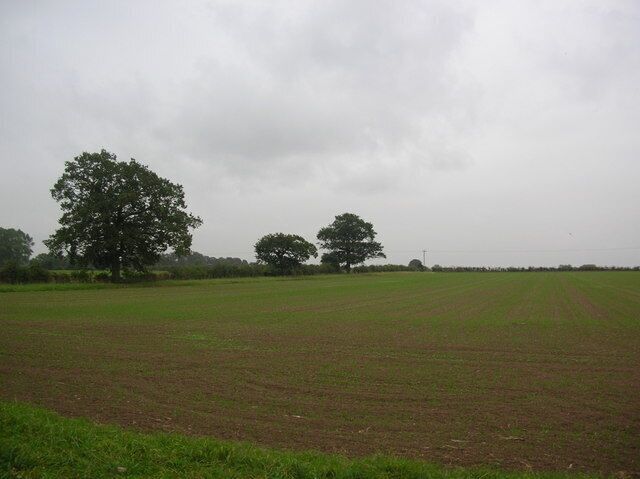 A vast open field with a few scattered trees under a cloudy sky.