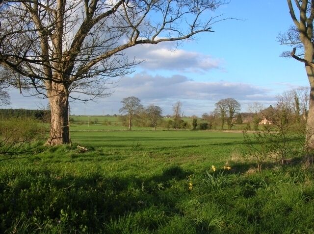 Farmland close to Sand Hutton A bridleway runs along the right hand edge of the field.