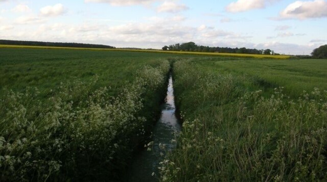 Drain on the Scoreby Estate, west north west of Kexby, North Yorkshire, England. Unnamed drain. In the distance is Hagg Wood.