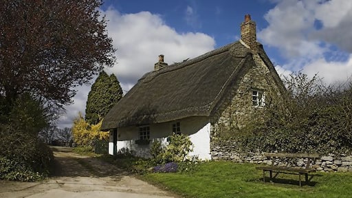 Thatched cottage at Beadlam. Just a few yards from the busy A170, time seems to have stood still.